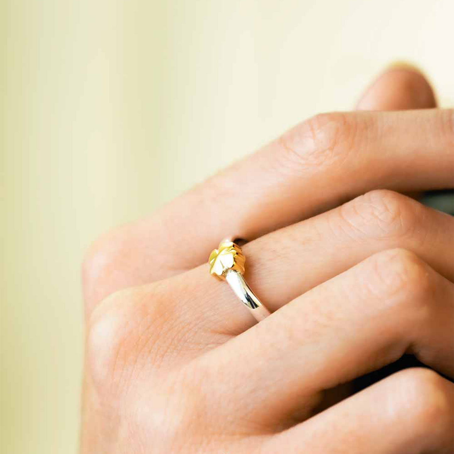 Anello Quadrifoglio Argento e Oro