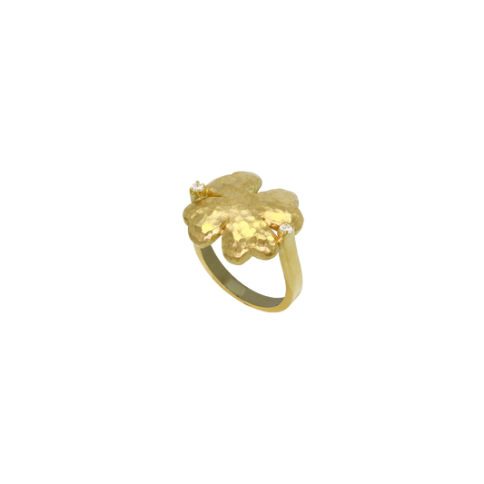 Anello Portafortuna oro