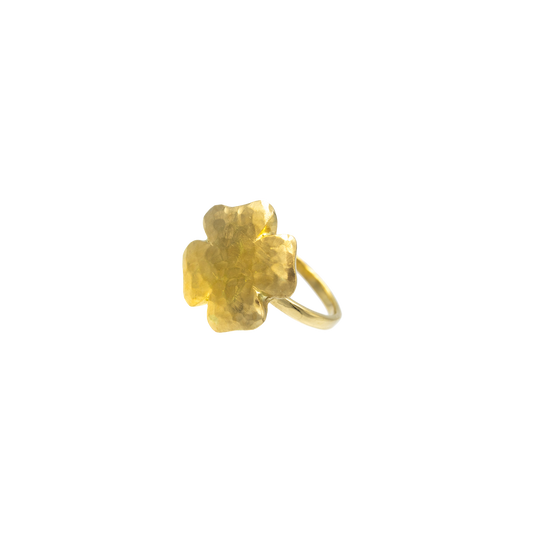 Anello Velvet Lumière