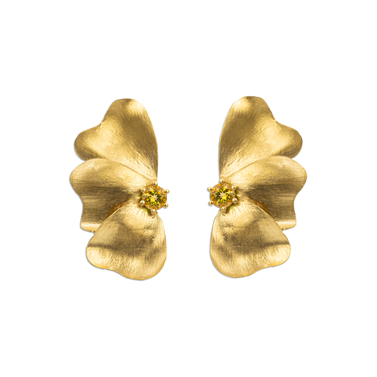 Petali Citrino