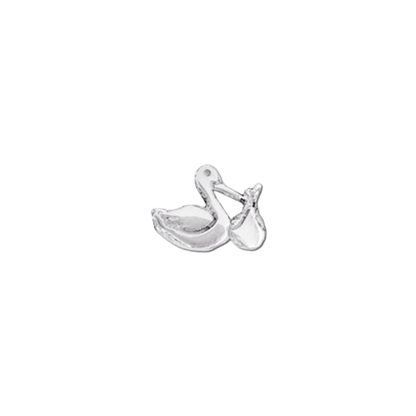 Cicogna
