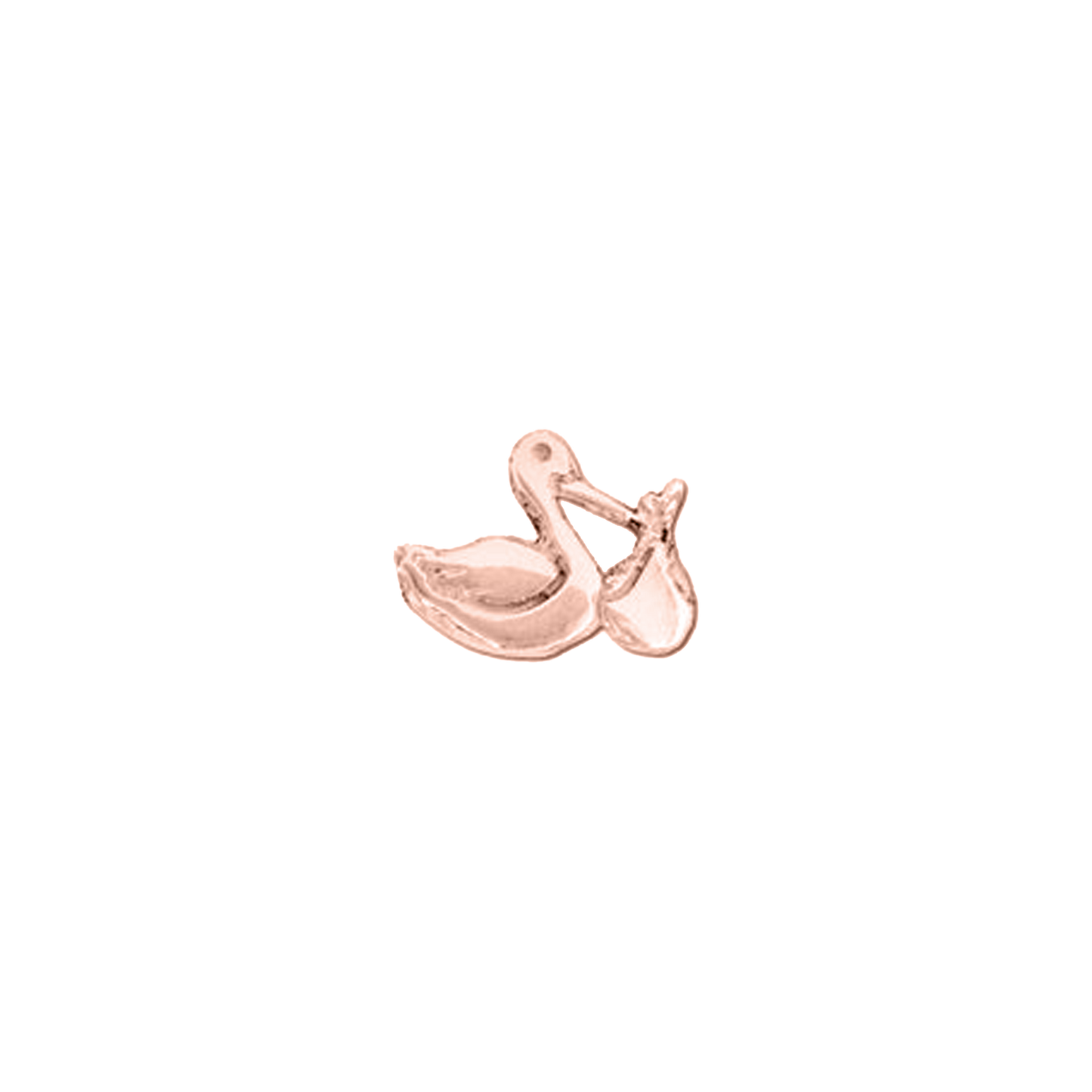 Cicogna